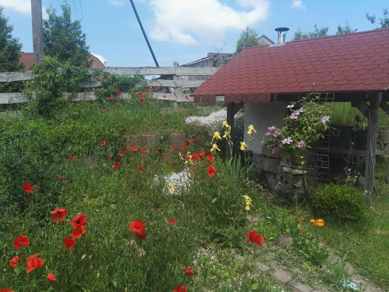 Gaestehaus Zum Gesundheitszentrum Matz Sulzdorf an der Lederhecke Экстерьер фото