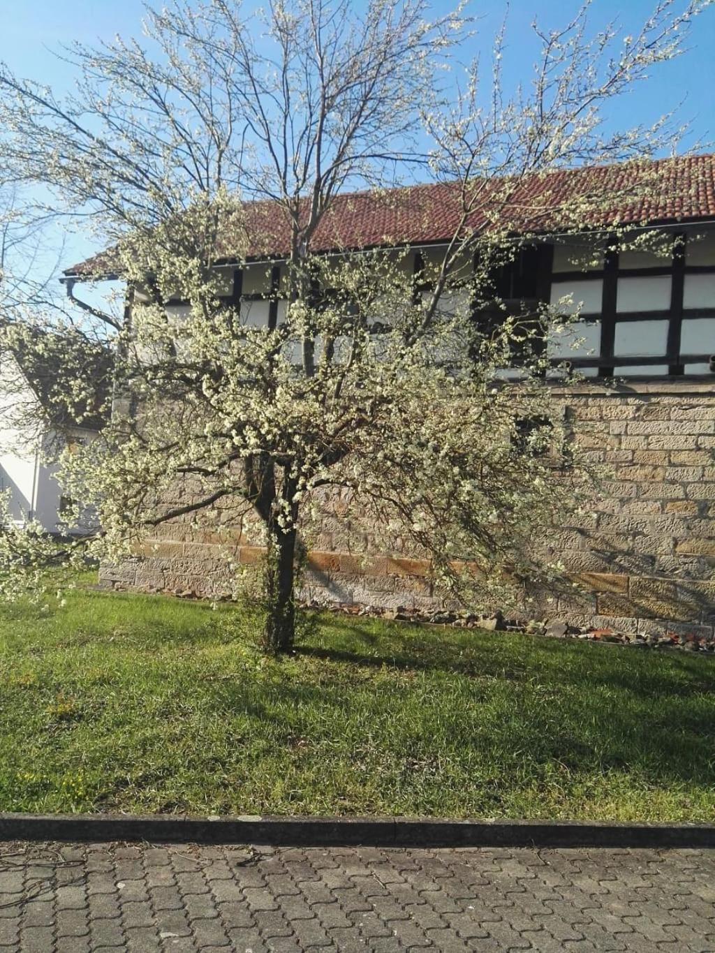 Gaestehaus Zum Gesundheitszentrum Matz Sulzdorf an der Lederhecke Экстерьер фото